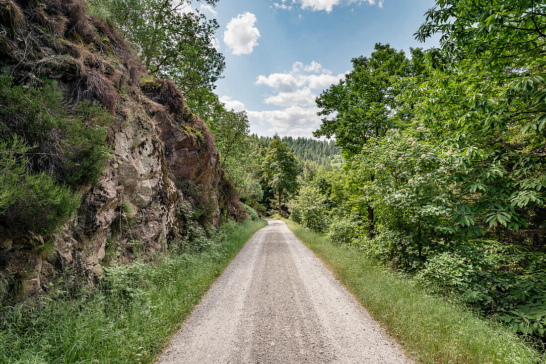 Rock formation along the hiking trail to Lautenfelsen, Gernsbach, Black Forest, Baden-Württemberg, Germany