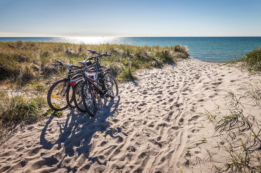 Fahrräder am Strandzugang nördlich von Ahrenshoop, Mecklenburg-Vorpommern, Ostsee, Norddeutschland, Deutschland