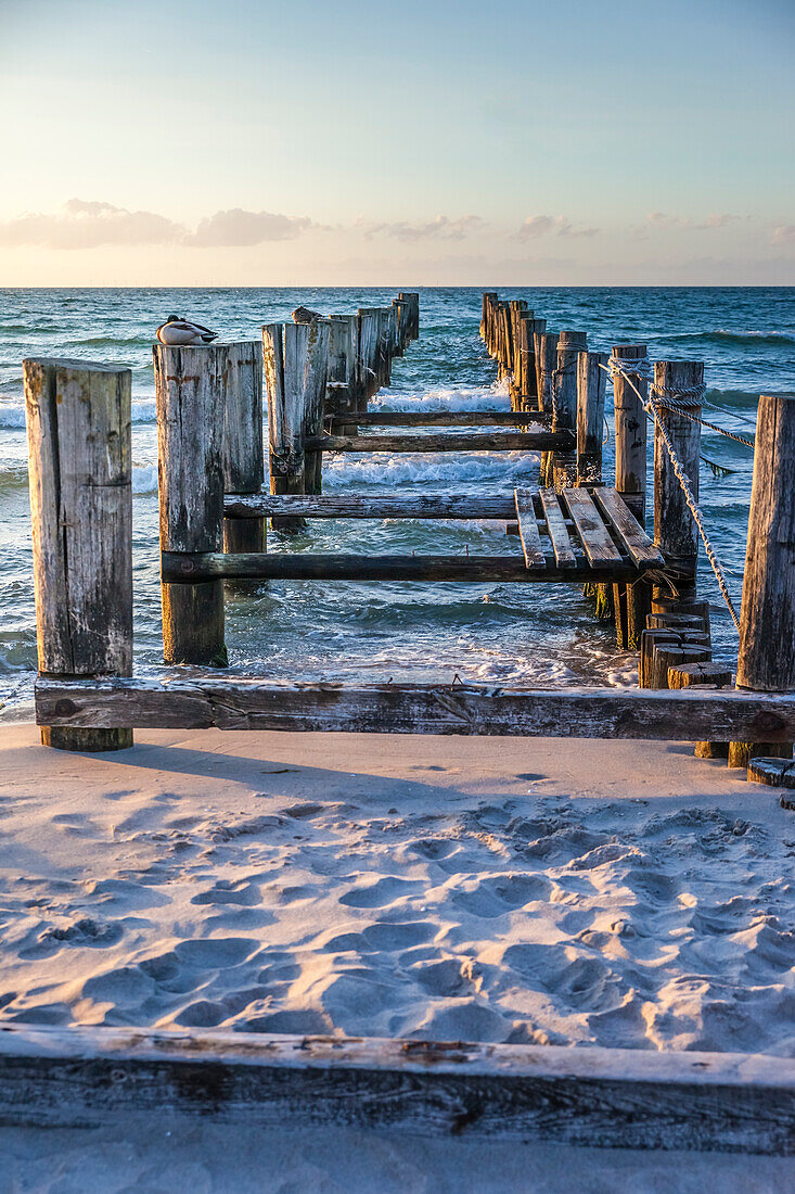 Weathered wooden pier on the beach in Zingst, Mecklenburg-West Pomerania, Baltic Sea, Northern Germany, Germany