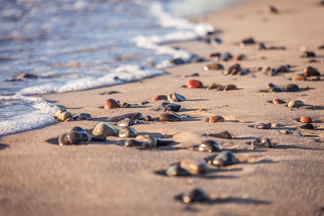 Am Darßer Weststrand, Mecklenburg-Vorpommern, Ostsee, Norddeutschland, Deutschland