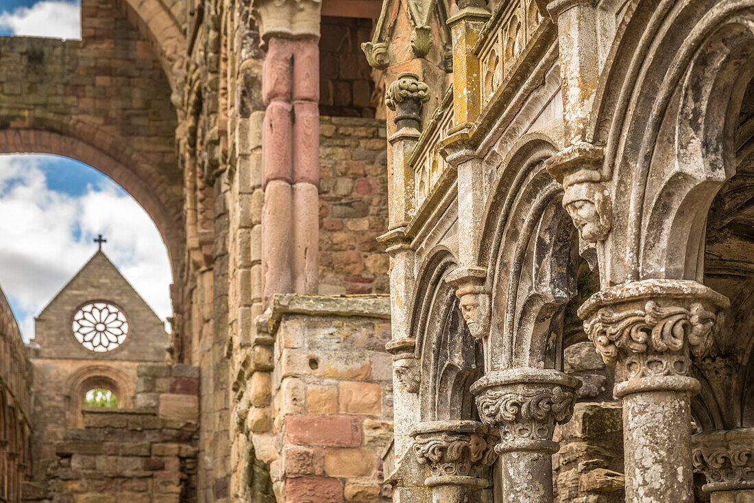 Ruine des Klosters Jedburgh Abbey, Jedburgh, Scottish Borders, Schottland, Großbritannien