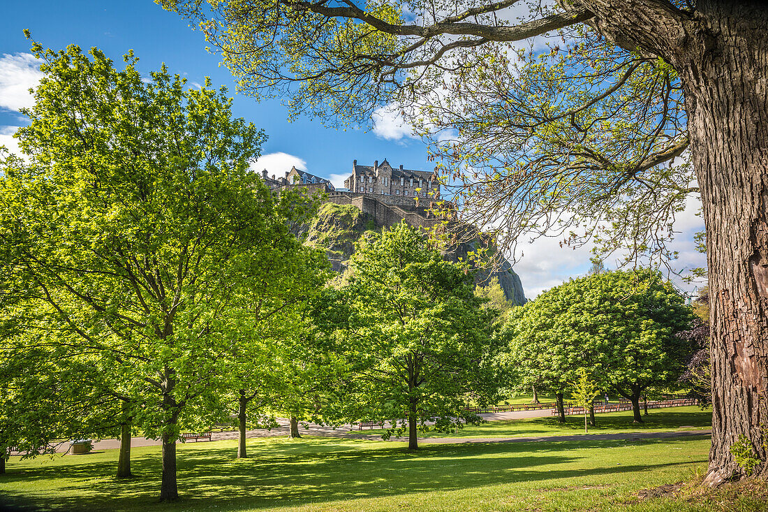 Blick von den Princes Street Gardens zum Edinburgh Castle, Edinburgh, City of Edinburgh, Schottland, Großbritannien