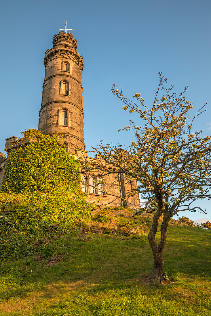 Nelson Monument auf dem Carlton Hill, Edinburgh, City of Edinburgh, Schottland, Großbritannien