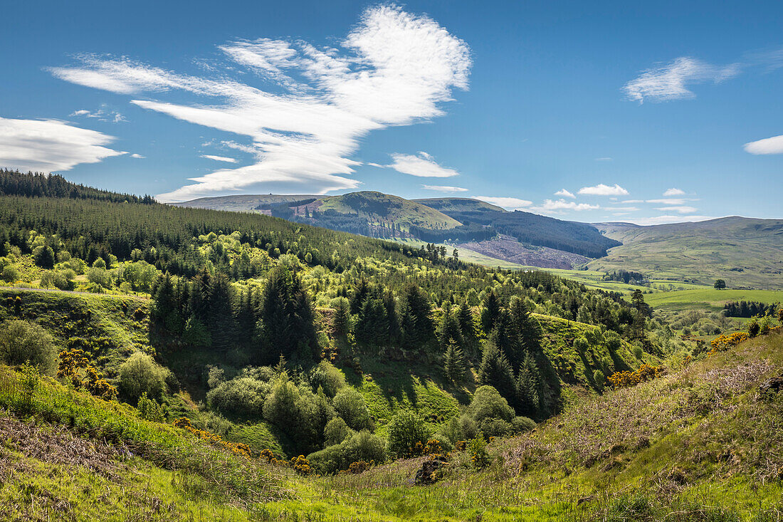 Fintry Hills near the village of Fintry, Stirling, Scotland, UK