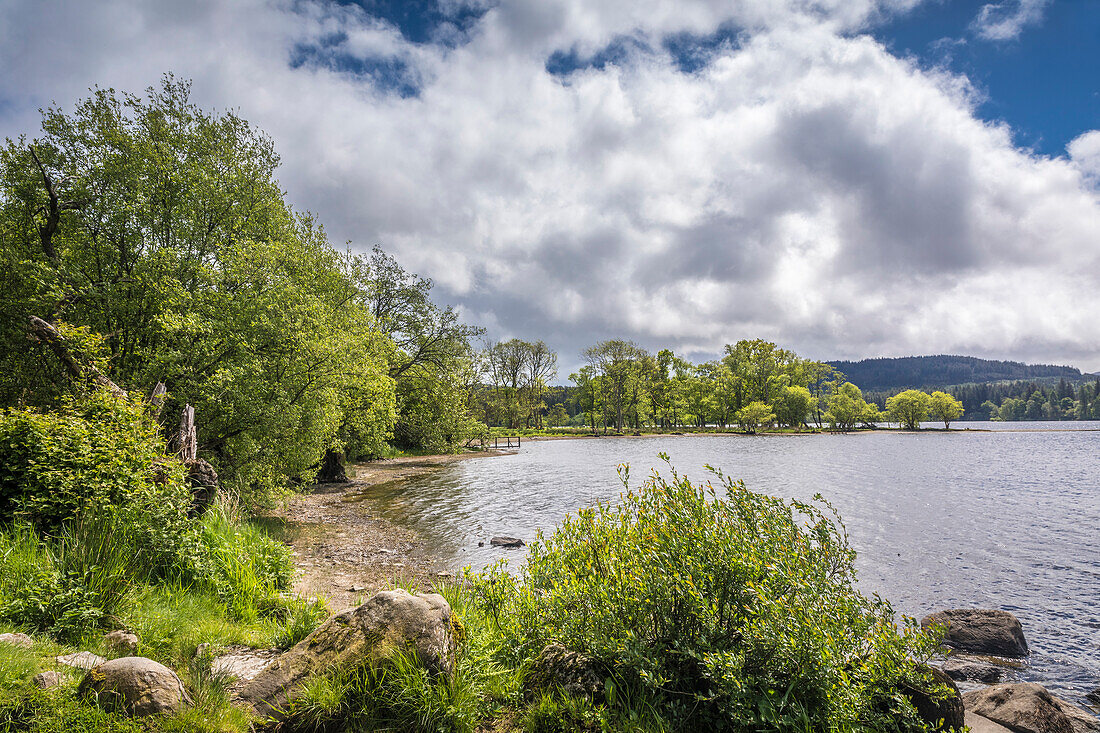 Nordufer des Loch Ard bei Ledard, Loch Lomond and The Trossachs National Park, Stirling, Schottland, Großbritannien