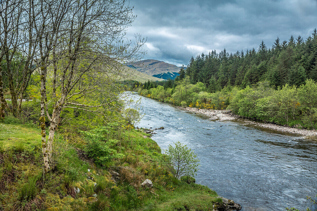 River Orchy looking towards Beinn Udlaidh (840m), Bridge of Orchy, Argyll and Bute, Scotland, UK