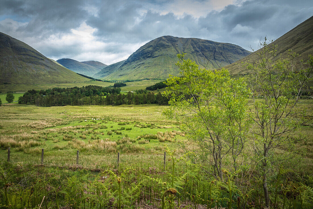 Landschaft am West Highland Way bei Bridge of Orchy, Argyll and Bute, Schottland, Großbritannien