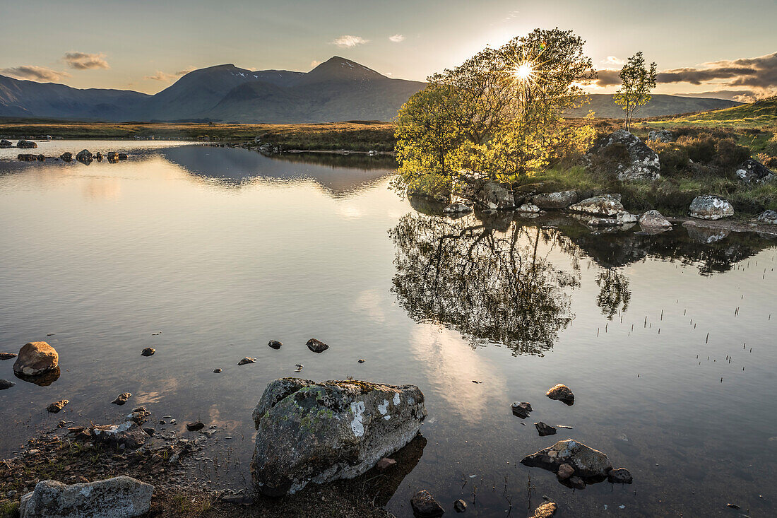 Evening light at Lochan na h-Achlaise, Rannoch Moor, Argyll and Bute, Scotland, UK