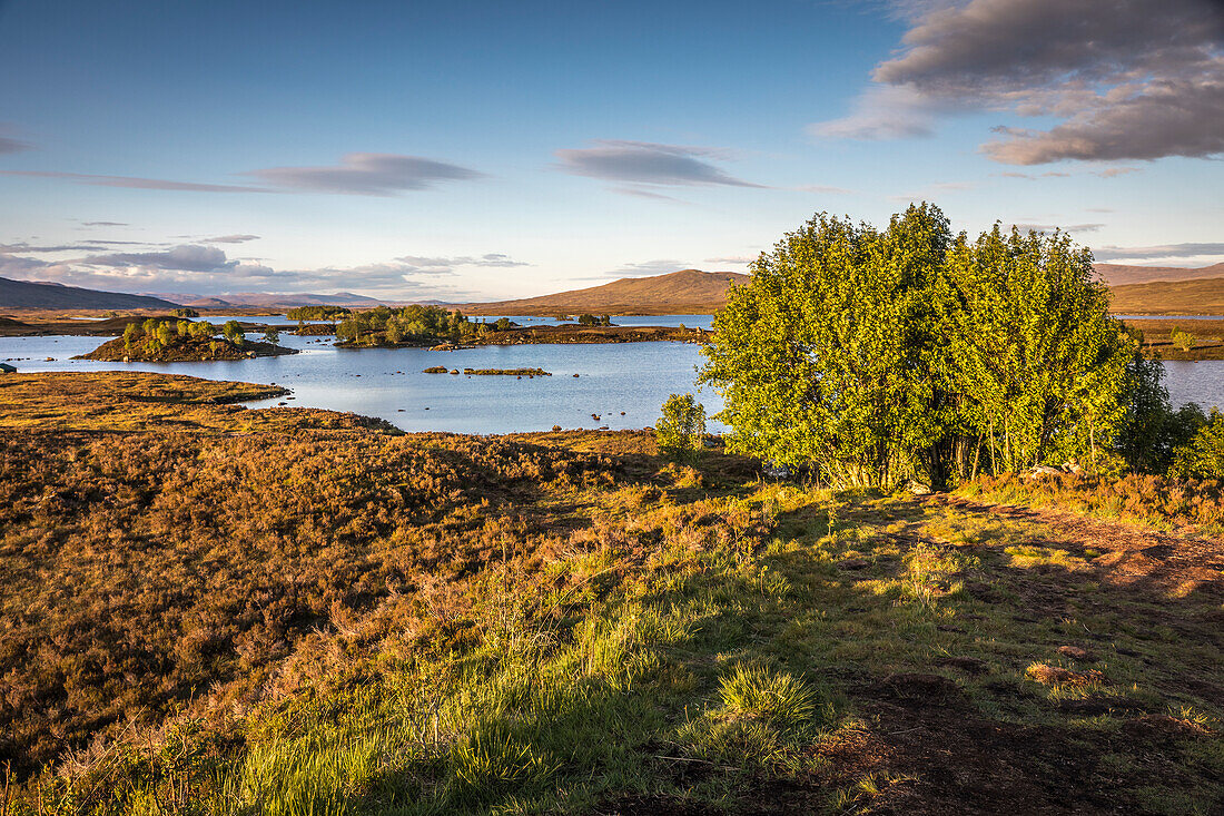 Blick auf Loch Bà, Rannoch Moor, Argyll and Bute, Schottland, Großbritannien