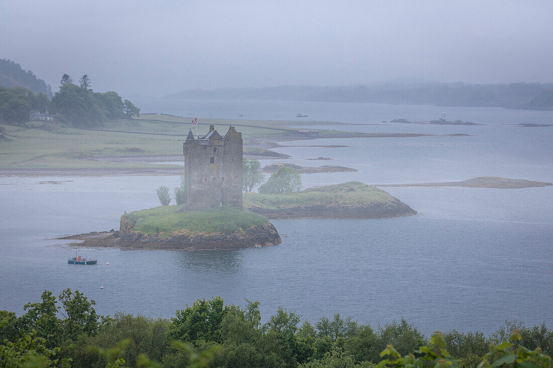 Blick zum Castle Stalker am Loch Linnhe, Appin, Argyll and Bute, Schottland, Großbritannien