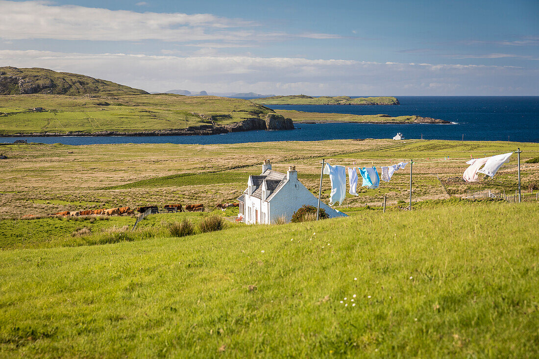 Lone farm in the north of the Trotternish Peninsula, Isle of Skye, Highlands, Scotland, UK