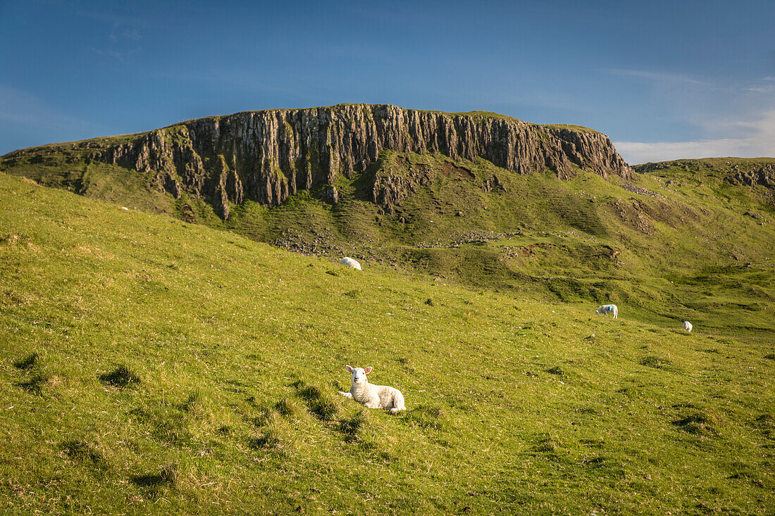 Gebirgszug an der Nordwestküste der Trotternish Halbinsel, Isle of Skye, Highlands, Schottland, Großbritannien