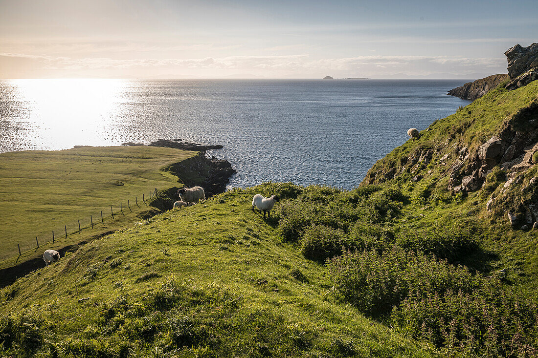 Bay on the north west coast of the Trotternish Peninsula, Isle of Skye, Highlands, Scotland, UK