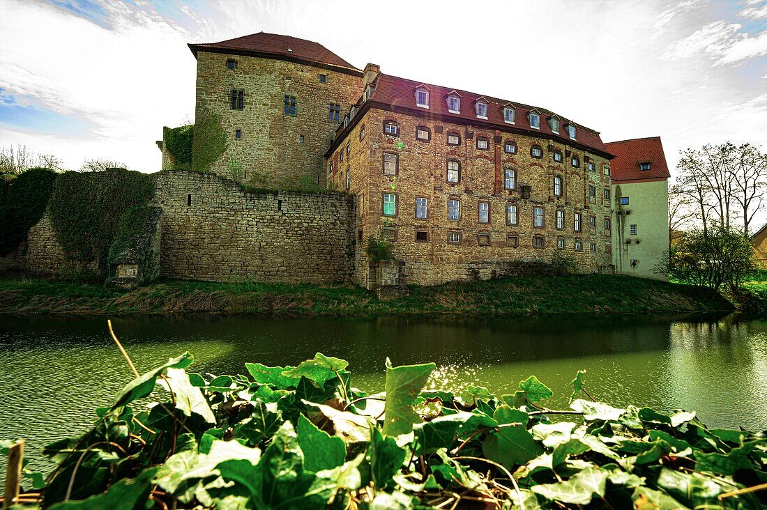 Moated castle of Kapellendorf with moat and wild ivy in foreground, Kapellendorf, Thuringia, Germany