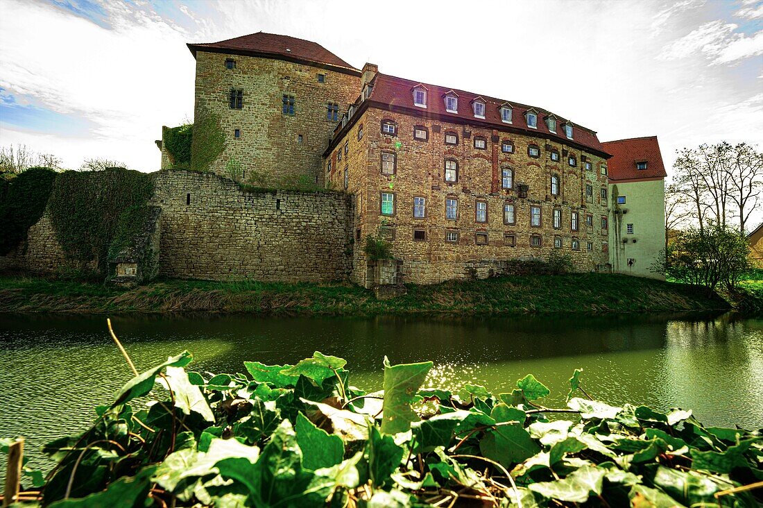 Wasserburg Kapellendorf mit Wassergraben, wilder Efeu im Vordergrund, Kapellendorf, Thüringen, Deutschland