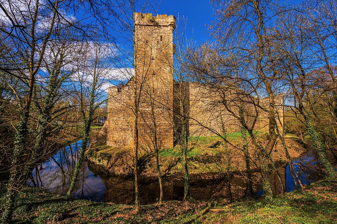 Der Wehrturm der Wasserburg Kapellendorf mit Wassergraben, Laubbäume im Vordergrund, Kapellendorf, Thüringen, Deutschland
