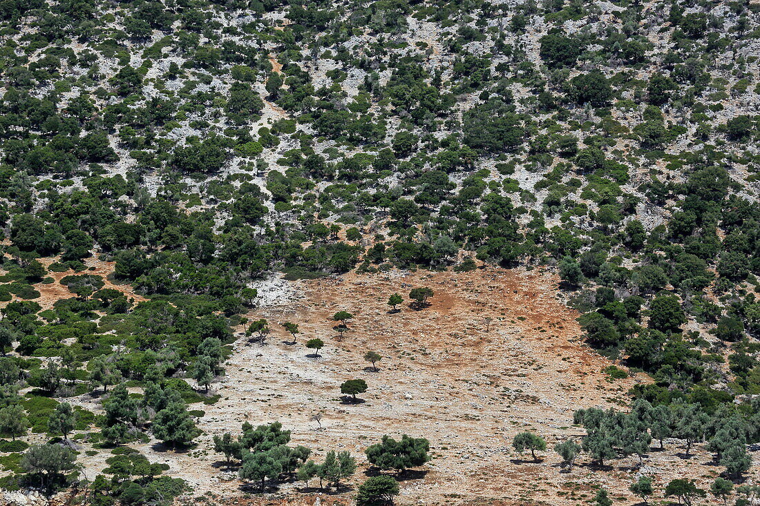 Ostküste der Insel Alonissos, Nördliche Sporaden, Griechenland