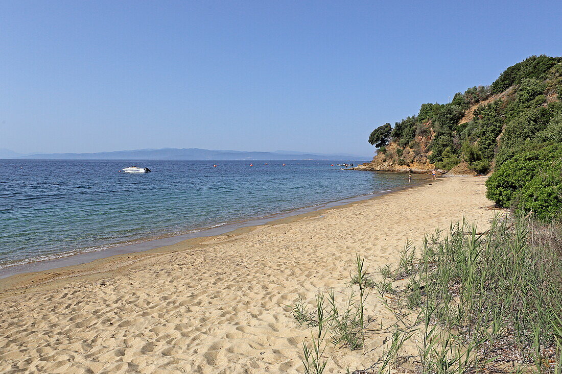 Strand Vassilias Beach an der Südküste der Insel Skiathos, Nördliche Sporaden, Griechenland