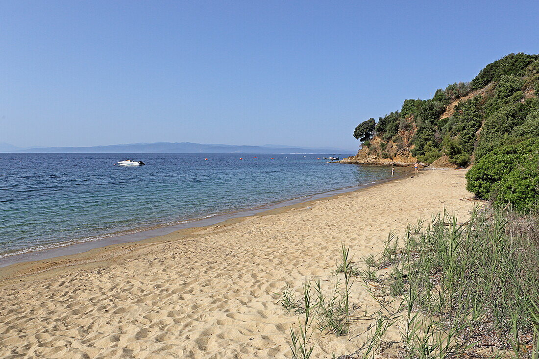 Vassilias Beach on the south coast of Skiathos island, Northern Sporades, Greece