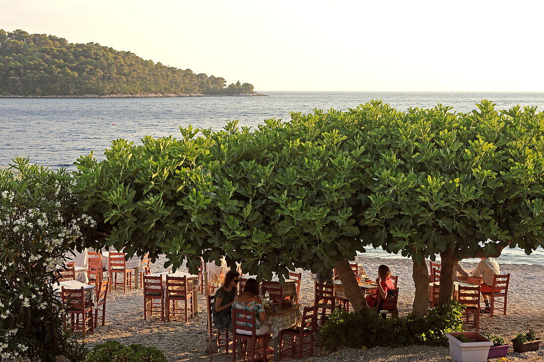 Yiannis Restaurant am Strand der Panormos Bay an der Südküste der Insel Skopelos, Nördliche Sporaden, Griechenland