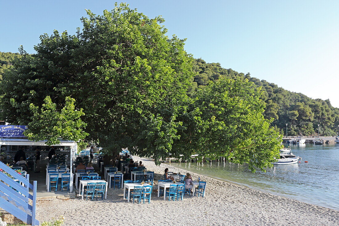 Fischlokale am Strand von Agontas, Insel Skopelos, Nördliche Sporaden, Griechenland