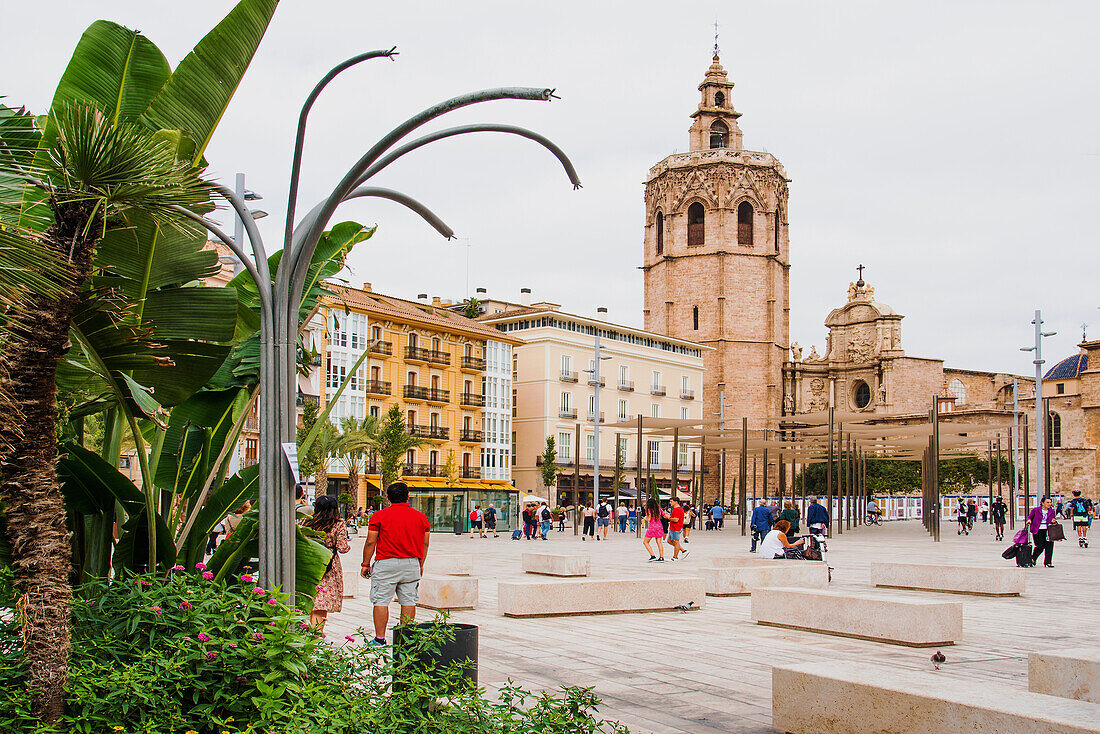 Platz und Kathedrale, Plaza de la Reina, Valencia, Spanien
