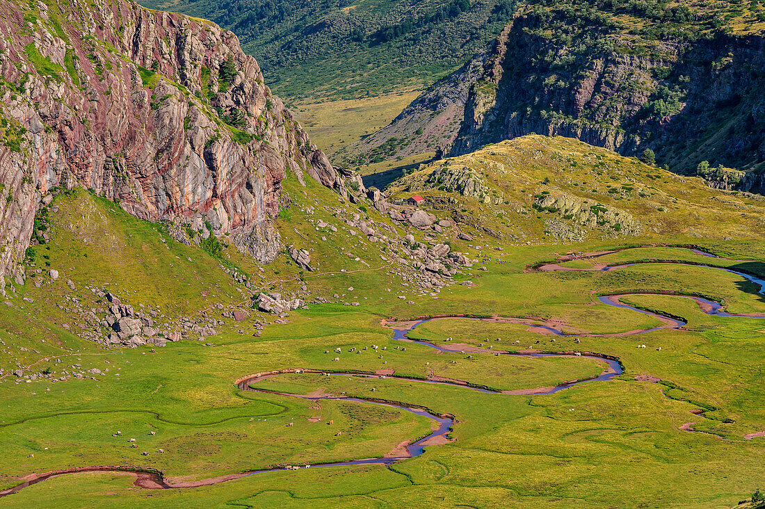 Fluss mäandert durch grünen Talboden, Aguas Tuertas, Valle de Hecho, Huesca, Pyrenäen, Aragon, Spanien