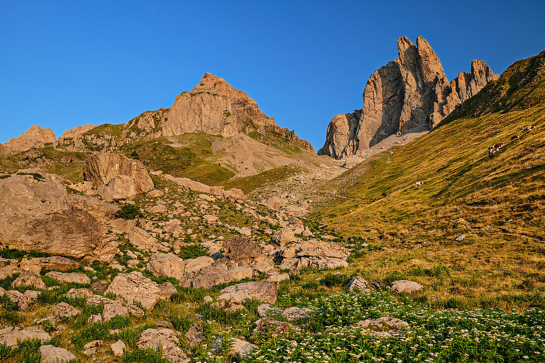 Sobarcal und Aiguille Ansabere im Morgenlicht, Cirque de Lescun, Vallee Aspe, Pyrenäen, Frankreich