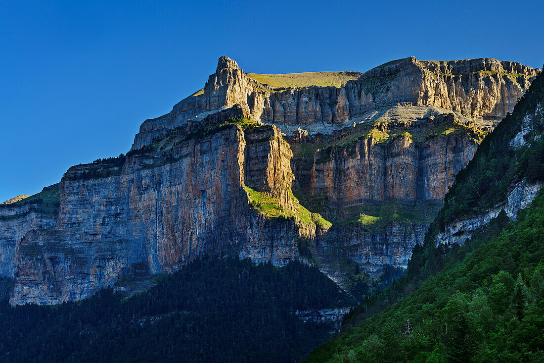 Blick auf Felsmauer am Pico Gallinero im spanischen Grand Canyon im Tal des Rio Arazas, Ordesatal, Nationalpark Ordesa y Monte Perdido, Ordesa, Huesca, Aragon, UNESCO Welterbe Monte Perdido, Pyrenäen, Spanien