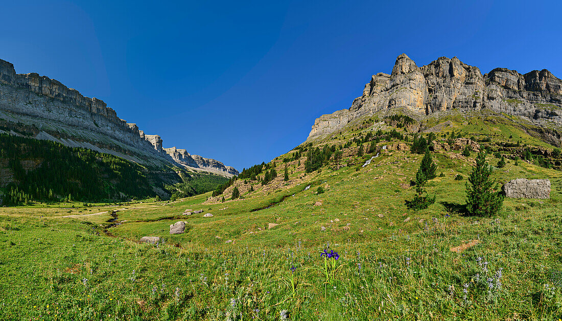 Panorama mit Bergkulisse im Tal des Rio Arazas, Ordesatal, Nationalpark Ordesa y Monte Perdido, Ordesa, Huesca, Aragon, UNESCO Welterbe Monte Perdido, Pyrenäen, Spanien