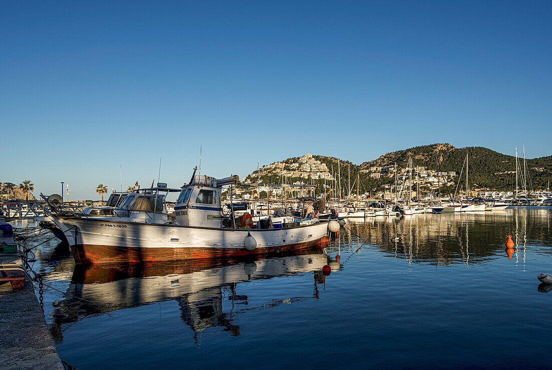 Blick auf den Jachthafen und das im Meer gespiegelte Port d' Andratx, Mallorca, Spanien