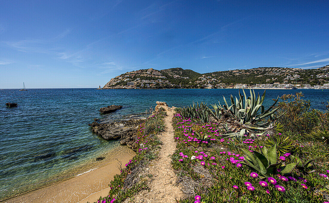 Path by the sea with wild plants and a view of Port d´Andratx, Mallorca, Spain