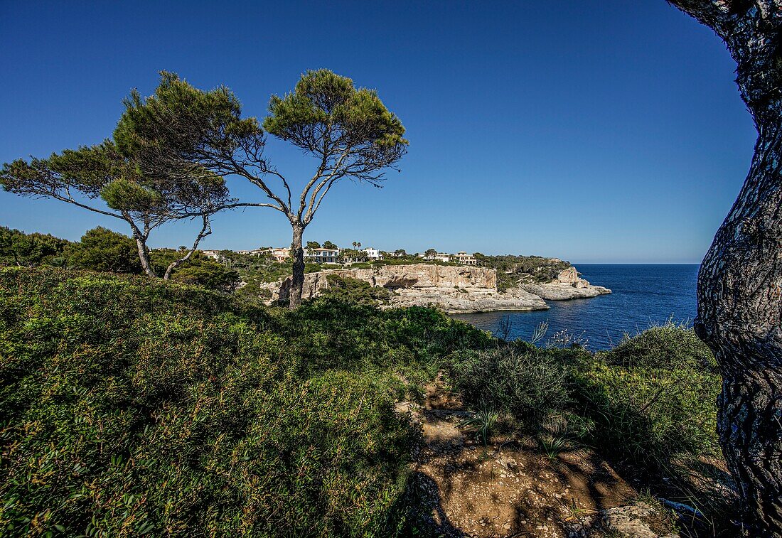 Blick vom Hochufer auf das Meer in die Bucht von Cala Santanyí, Mallorca, Spanien