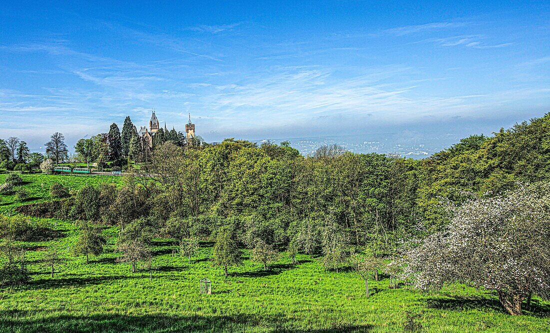 Schloss Drachenburg und Drachenfelsbahn an einem Morgen im Frühling, Königswinter, Siebengebirge, Nordrhein-Westfalen, Deutschland