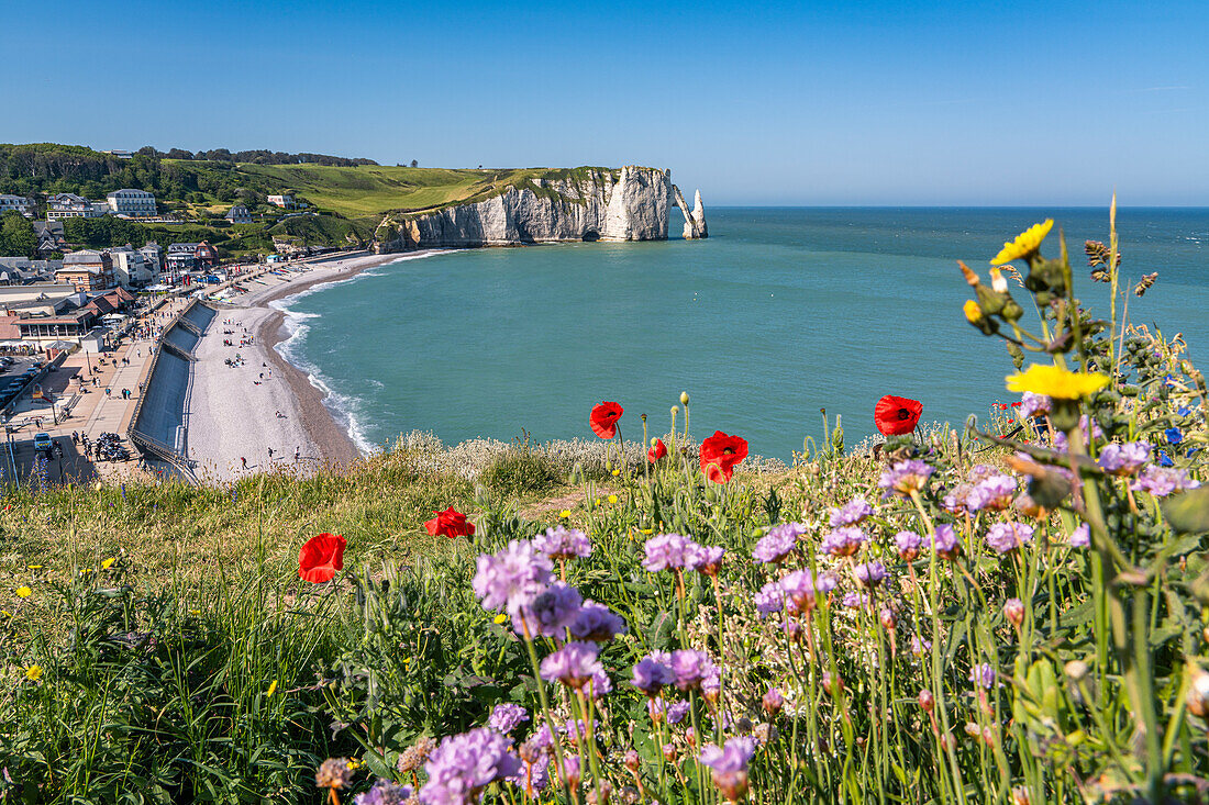 Blick auf die Kreidefelsen mit Wildblumen im Vordergrund,  Etretat, Normandie, Frankreich