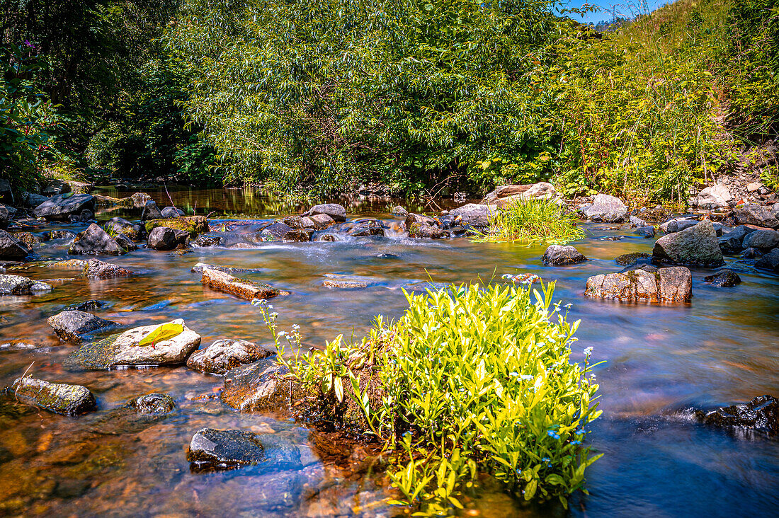 Wolfsbach in summer with natural stones in the river, Zorge, Lower Saxony, Germany