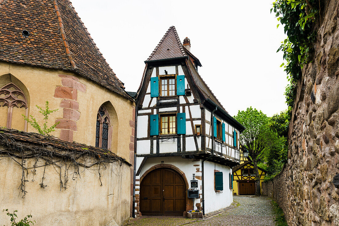 Medieval colorful half-timbered houses, Kaysersberg, Grand Est, Haut-Rhin, Alsace, France