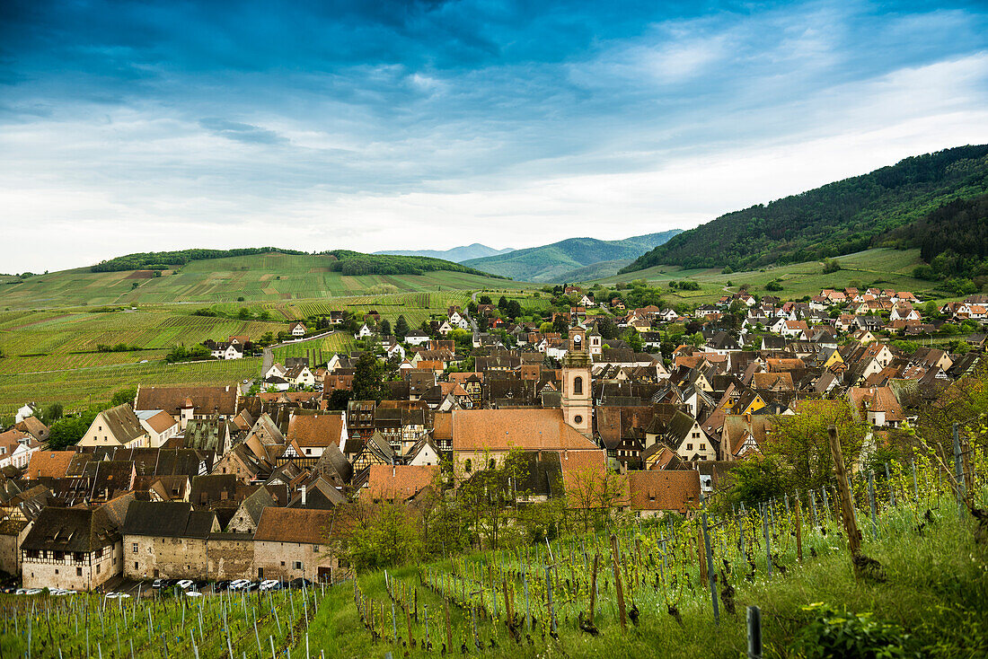 Mittelalterliches Dorf in den Weinbergen, Riquewihr, Grand Est, Haut-Rhin, Elsass, Frankreich