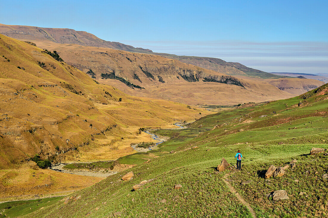 Woman hiking through Lotheni Valley, Lotheni, Drakensberg Mountains, Kwa Zulu Natal, Maloti-Drakensberg World Heritage Site, South Africa