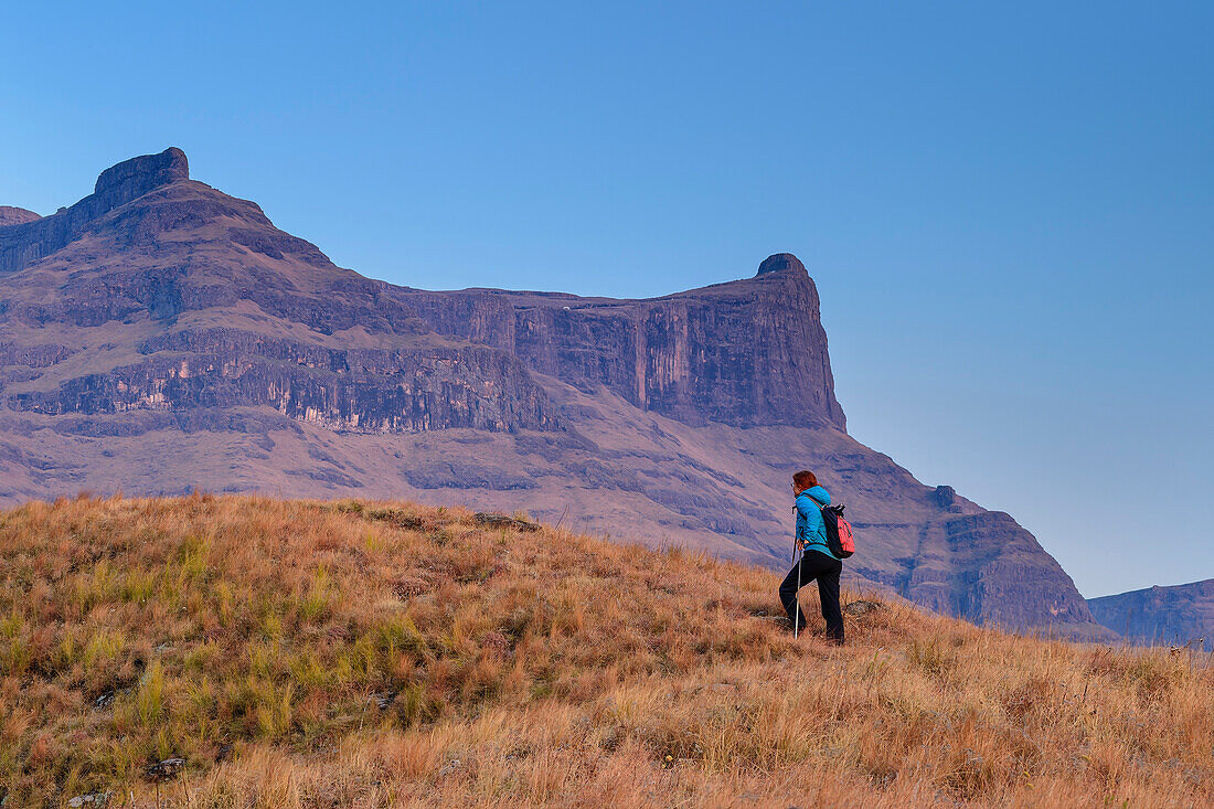 Frau beim Wandern, Langalibalele Ridge, Giant's Castle, Drakensberge, Kwa Zulu Natal, Maloti-Drakensberg, Südafrika