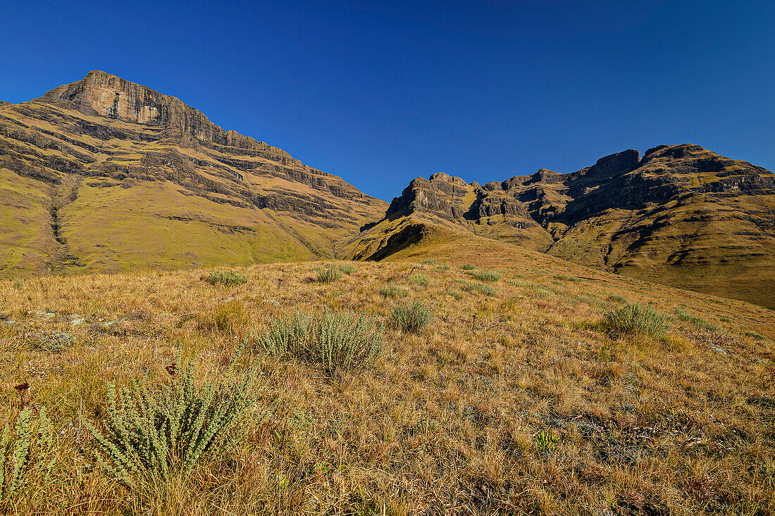 Blick auf Drakensberge am Langalibalele Pass, Langalibalele Pass, Giant's Castle, Drakensberge, Kwa Zulu Natal, Maloti-Drakensberg, Südafrika