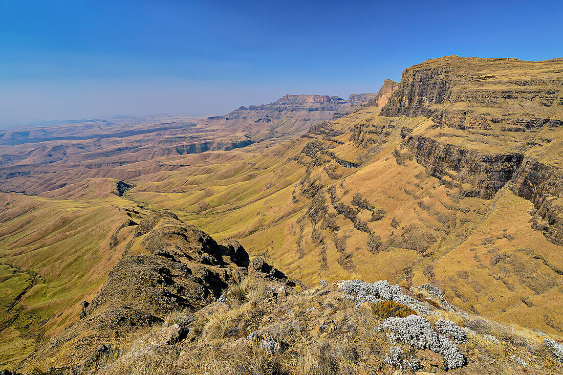 View of Drakensberg from the climb to Langalibalele Pass, Langalibalele Pass, Giant's Castle, Drakensberg Mountains, Kwa Zulu Natal, Maloti-Drakensberg UNESCO World Heritage Site, South Africa