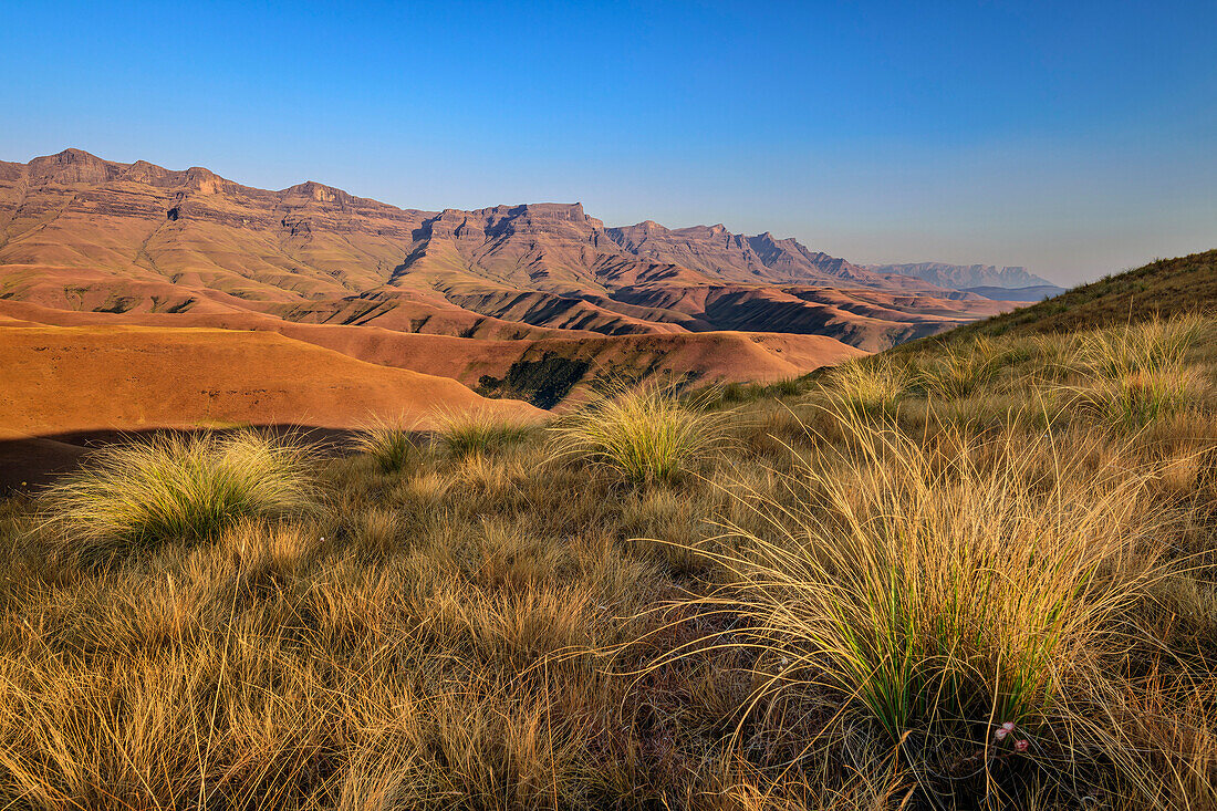 Oribi-Ridge mit Blick auf Drakensberge, Giant's Castle, Drakensberge, Kwa Zulu Natal, Maloti-Drakensberg, Südafrika