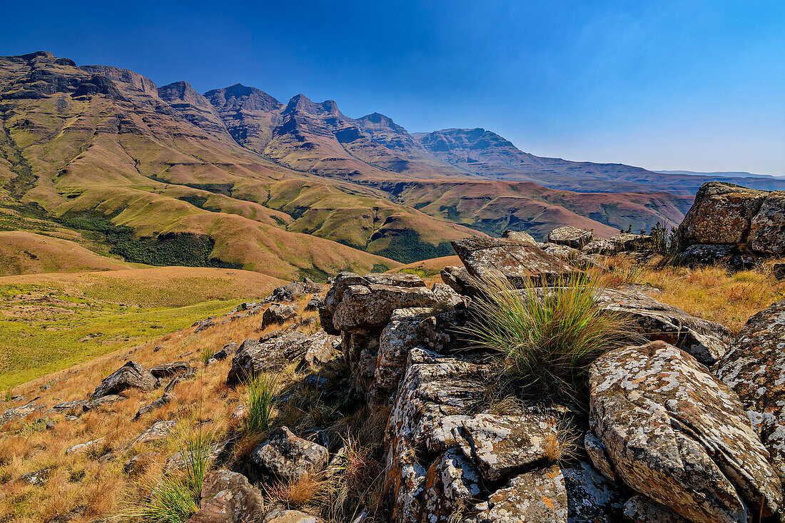 Felsblöcke am Giant´s Ridge mit Drakensberge im Hintergrund, Giant's Castle, Drakensberge, Kwa Zulu Natal,  Maloti-Drakensberg, Südafrika