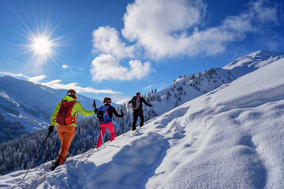 Three people on a ski tour ascending to the Kleiner Gamsstein, Kleiner Gamsstein, Hochfügen, Tuxer Alpen, Tirol, Austria