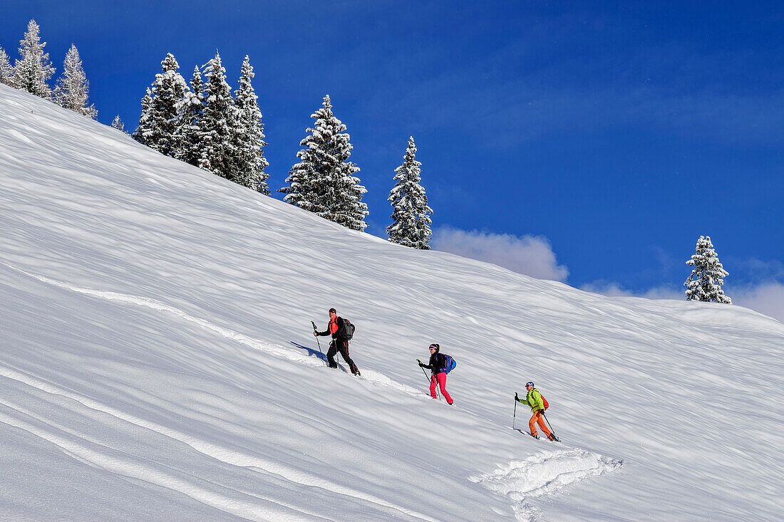 Three people on a ski tour ascending to the Kleiner Gamsstein, Kleiner Gamsstein, Hochfügen, Tuxer Alpen, Tirol, Austria