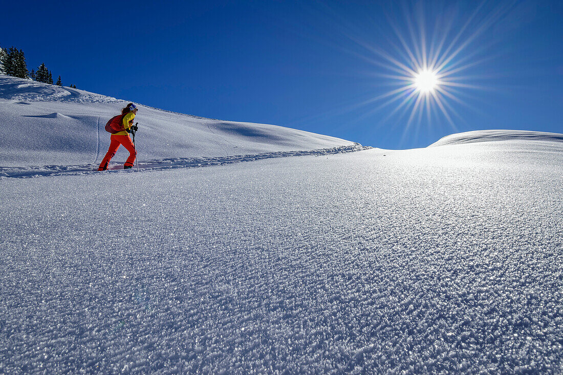 Frau auf Skitour steigt durch Rauhreif zum Wiedersberger Horn auf, Wiedersberger Horn, Kitzbüheler Alpen, Tirol, Österreich