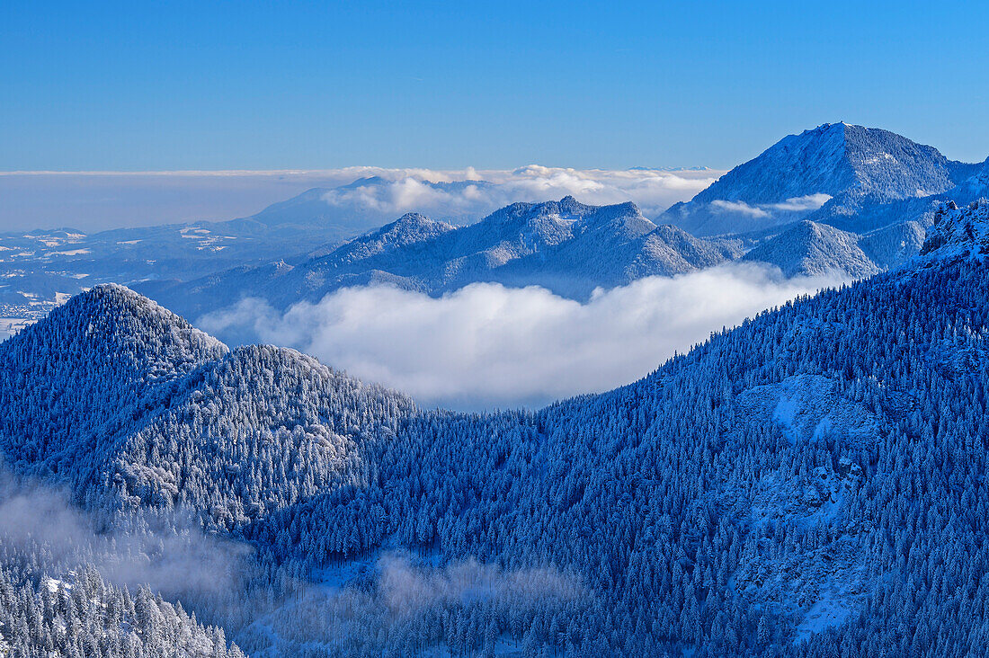 Verschneiter Wald und Wolkenstimmung mit Hochfelln im Hintergrund, vom Sulten, Chiemgauer Alpen, Oberbayern, Bayern, Deutschland