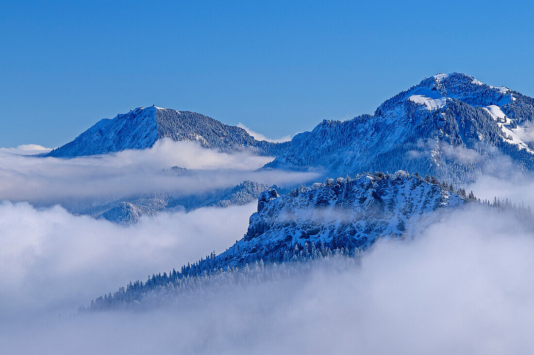 Hochfelln und Hochgern über Nebeldecke, vom Sulten, Chiemgauer Alpen, Oberbayern, Bayern, Deutschland