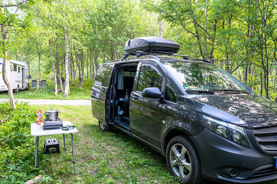 Wohnmobilstellplatz im Birkenwald zwischen dem Trollstigen und Valldal, Provinz Moere og Romsdal, Vestlandet, Norwegen